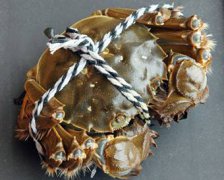 成都航空快递公司-大闸蟹空运