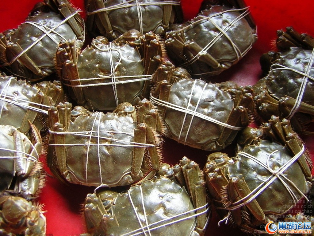 机场航空快递,机场航空快件